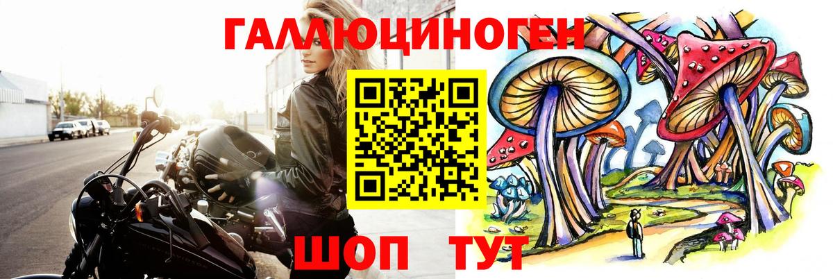 Галлюциногенные грибы ЛСД  Вход с VPN  Псилоцибиновые грибы ЛСД  Новошахтинск 